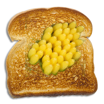 big-toast-img.png