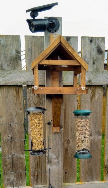 Bird box with both feeders attached 27-10-21.jpg