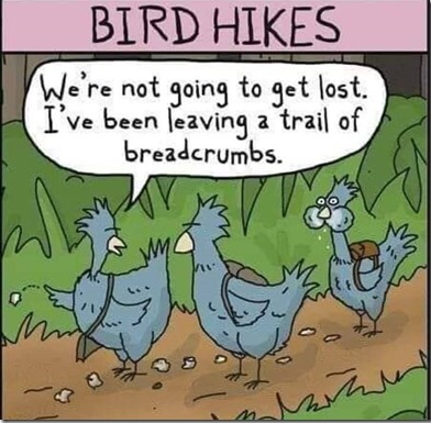 Bird Hikes.png