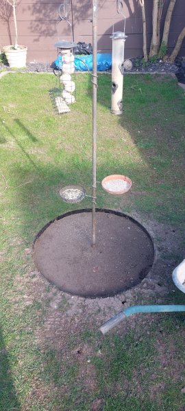 Birdfeed ring.jpg