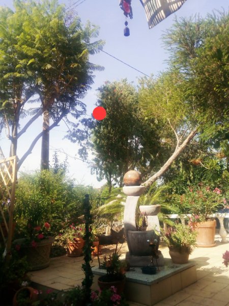 Birdnest Location.jpg