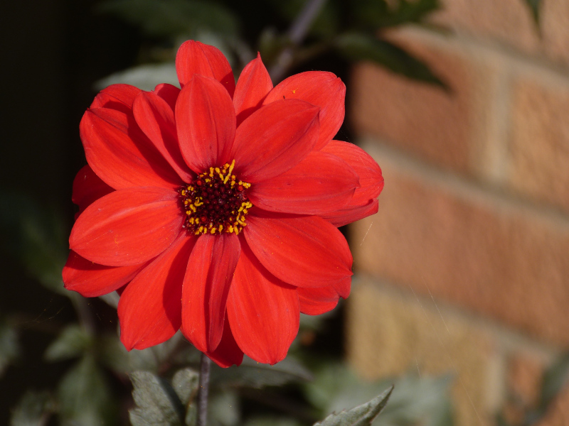 Bishop of Llandaff.JPG