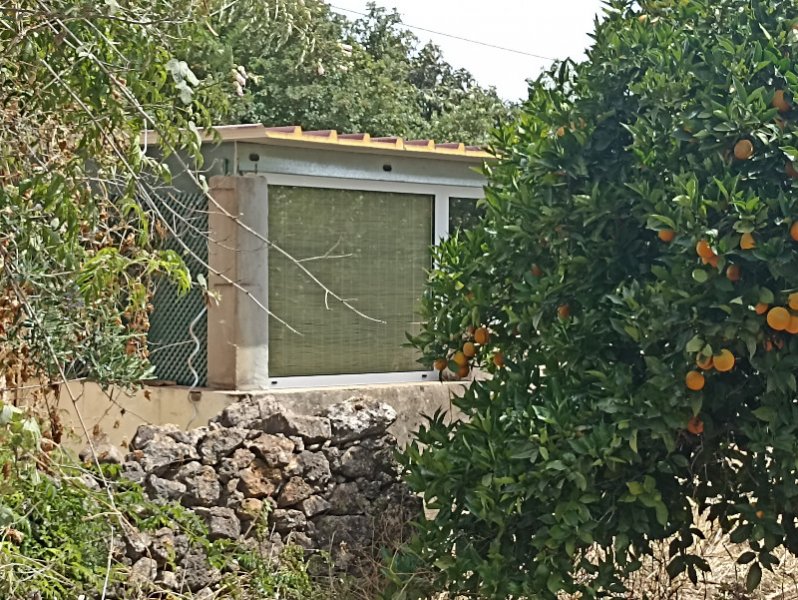 Blinds from Orchard 12 Jul 22.jpg