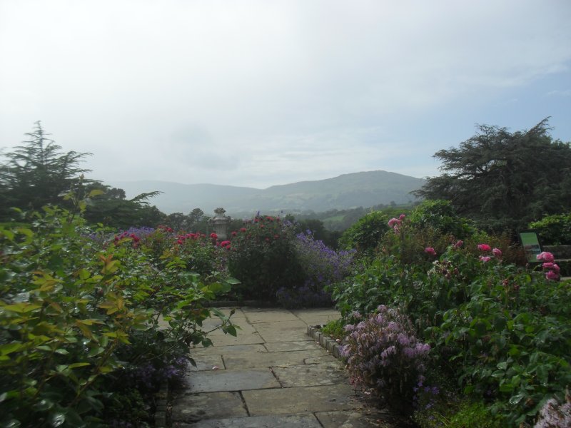 Bodnant 2025 (1).JPG