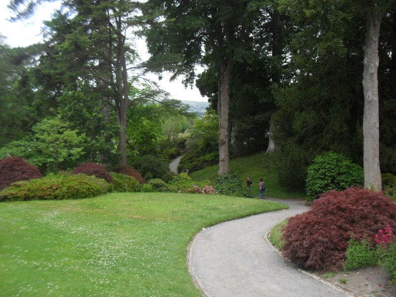 Bodnant 2025 (3).JPG