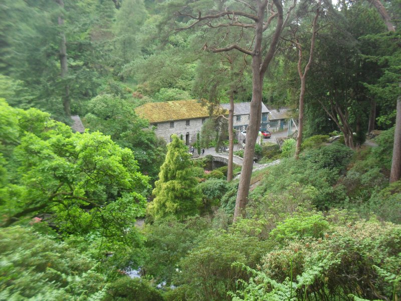 Bodnant 2025 (6).JPG