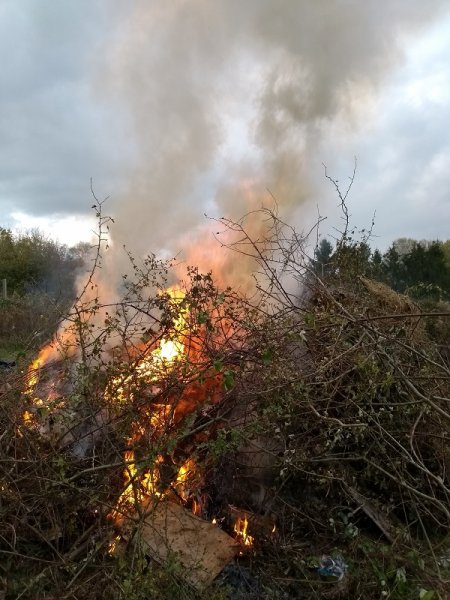 bonfire 2018.jpg