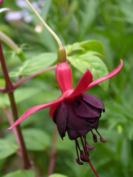 Bonnets and bits 009.JPG