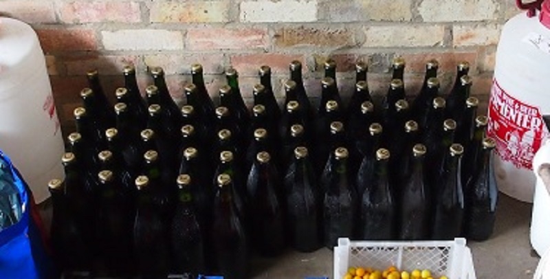 bottles1.jpg