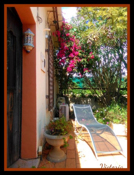 Bougainvillea2 Apr 20.jpg