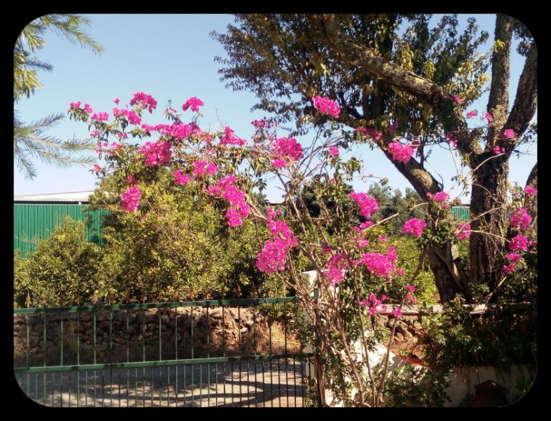 Bougie at Gate 17 Aug 21.jpg