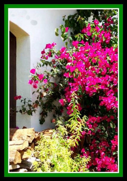 Bougie by the Wood 07.jpg