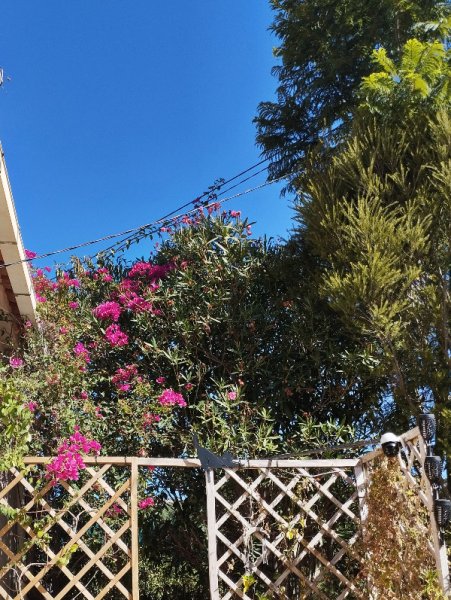 Bougie House 2 Sep 25.jpg