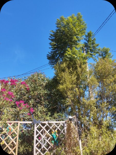 Bougie & Jak 4 Oct 25.jpg