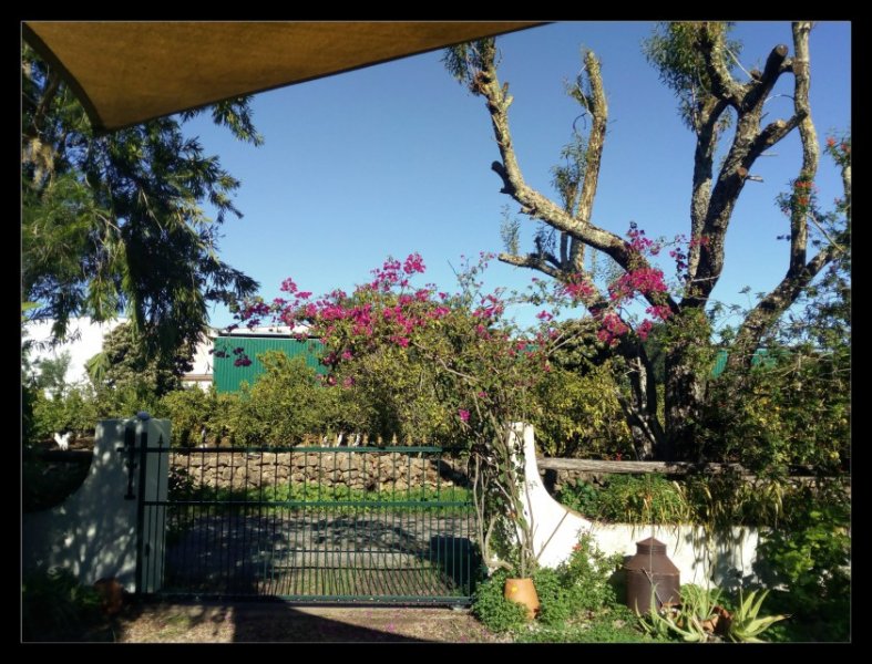 Bougie over Gate 2 2 Dec 20.jpg