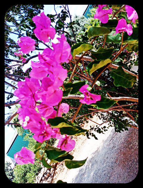 Bougie over Gate 21 Jun 22.jpg