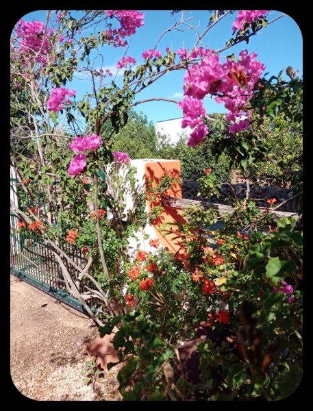 Bougie Teco2 at Gate 26 Sep 21.jpg