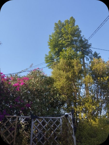 Bougie2 25 Aug 25.jpg