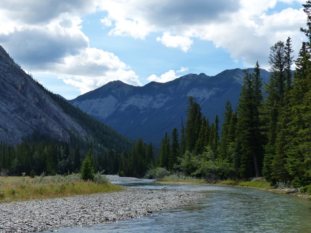 Bow River Walk F10 (2).JPG