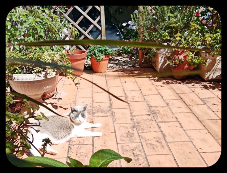 Boy by K£ 25 Apr 22.jpg