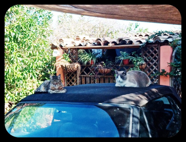 Boy & Girl on Izzy 12 May 21.jpg