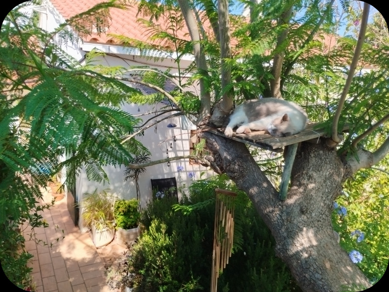 Boy in Jak2 14 Jul 25.jpg