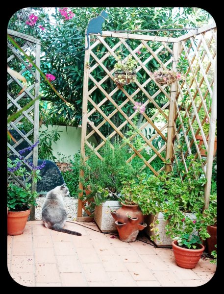 Boy in K3 doorway 17 Oct 21.jpg