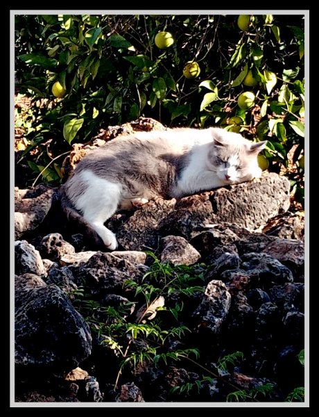 Boy on Rocks 22 Oct.jpg