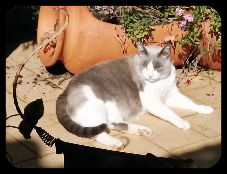 Boy Snoozing2 14 Oct 22.jpg