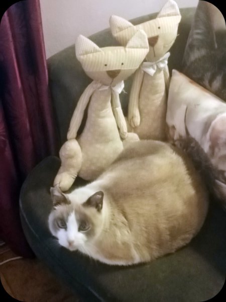 Boy, Thelma & Loise 2 Jan 24(1).jpg