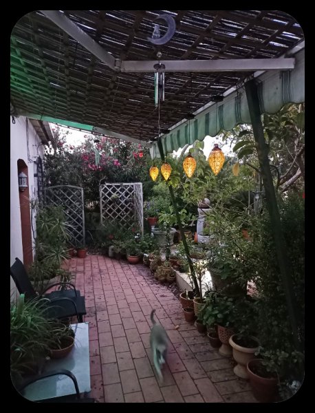 Boy under Moroccan Lights 28 Jun 22.jpg