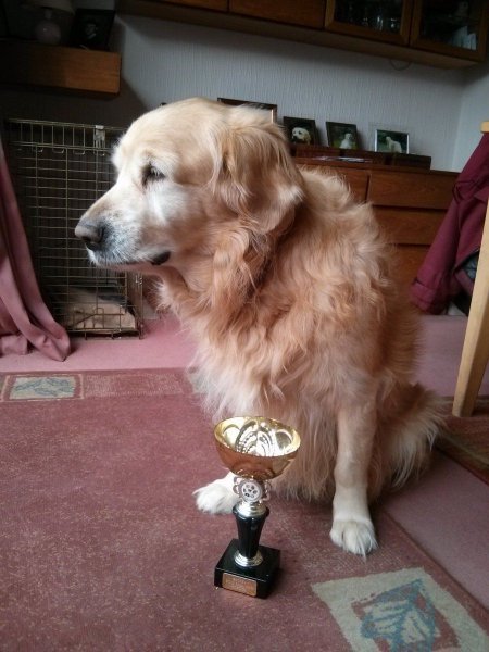 bracken with test cup.jpg