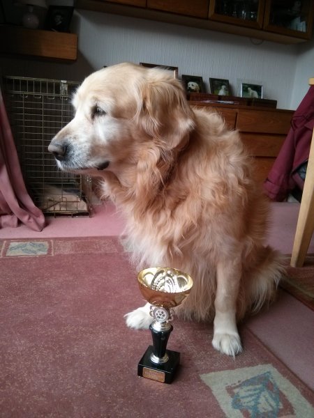 bracken with test cup.jpg