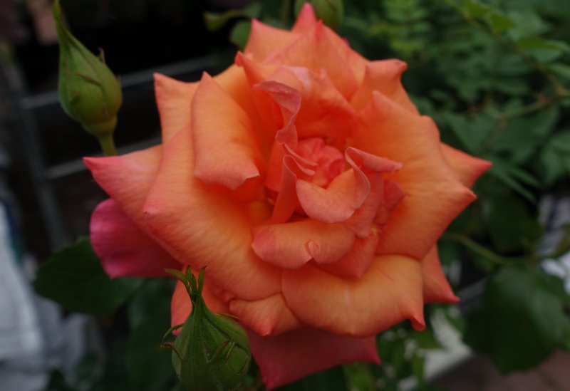 Brilliant in shop prior to purchase 2018.jpg