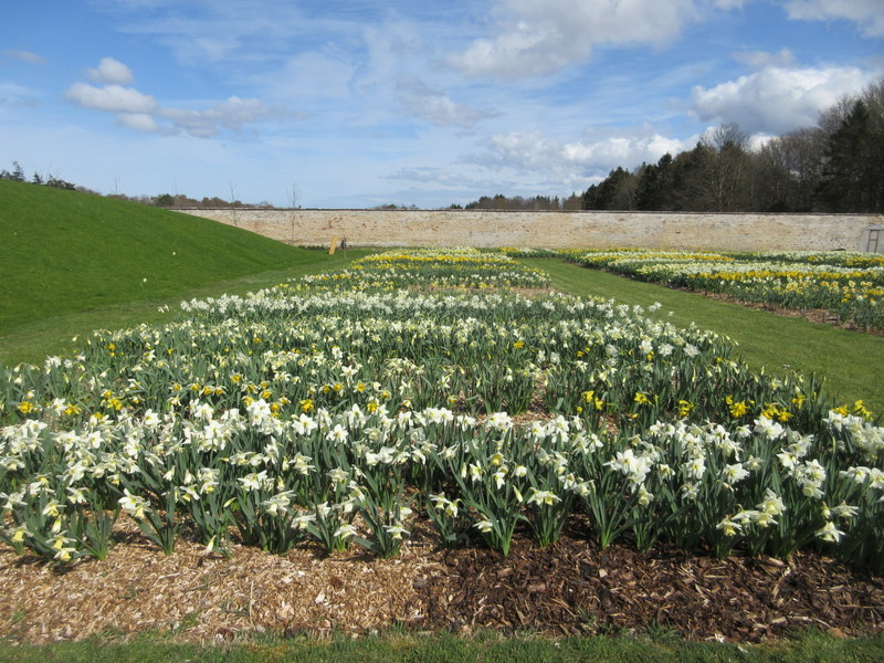 BRODIE  CASTLE  NEAR  NAIRN 19-04-2018 13-52-56.JPG