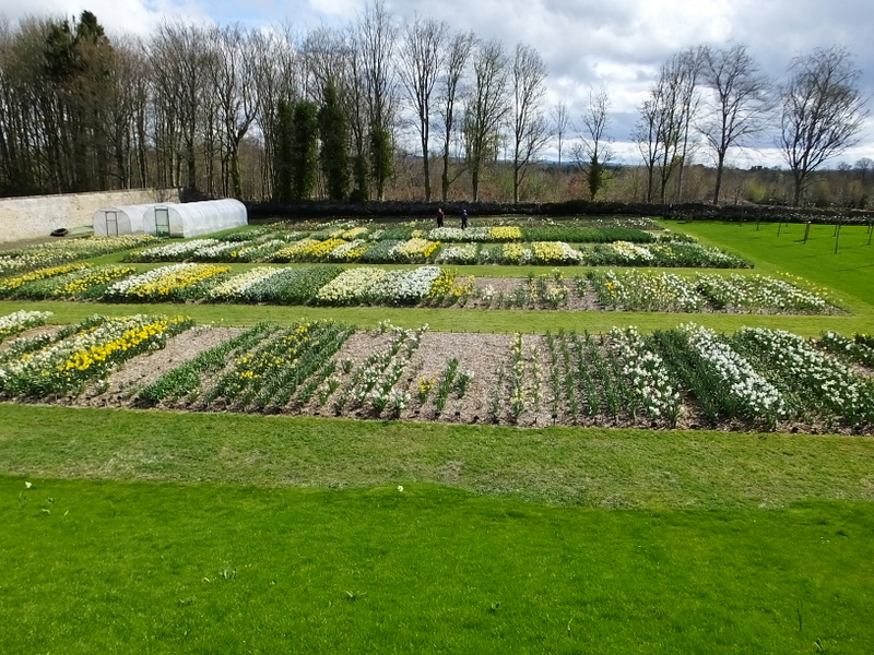 BRODIE  CASTLE  NEAR  NAIRN 19-04-2018 13-53-34.JPG