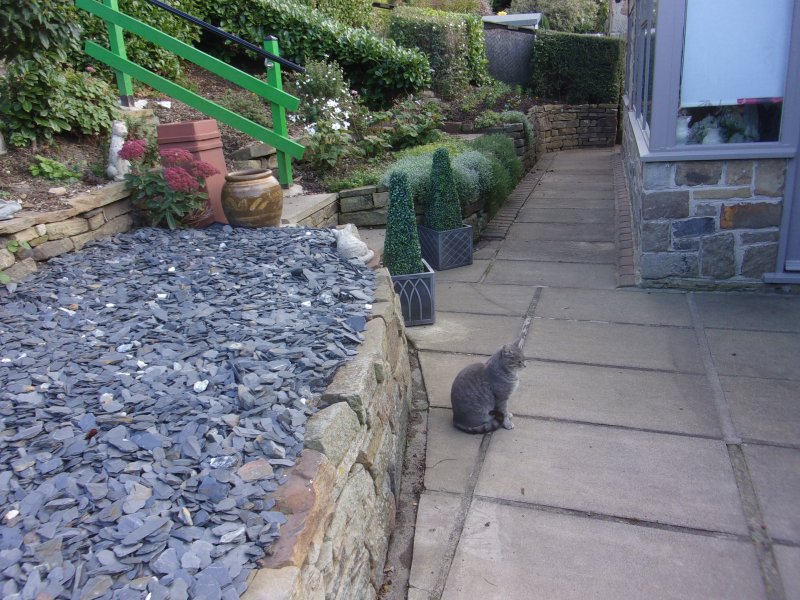 Brons flower bed_006.JPG