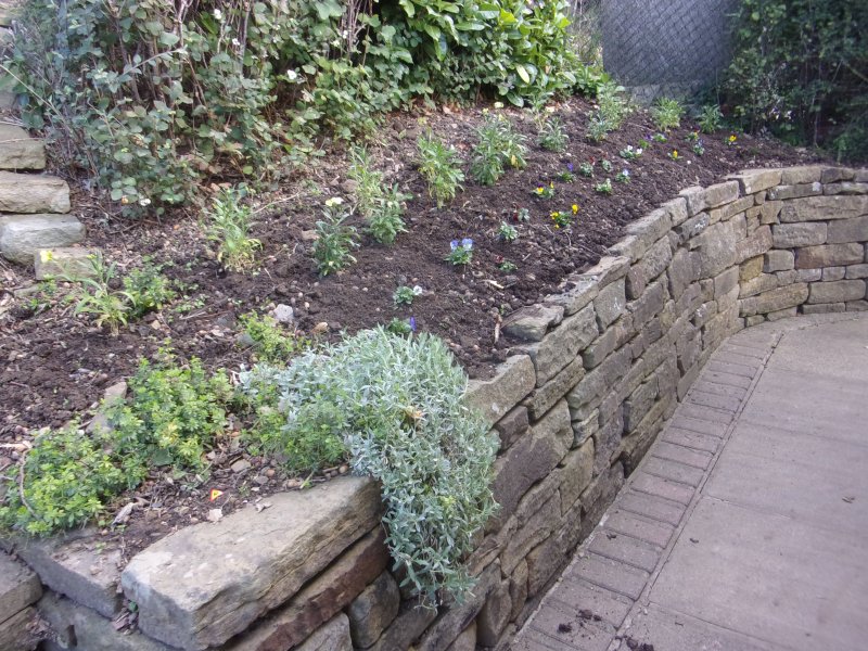 Brons flower beds (2).JPG