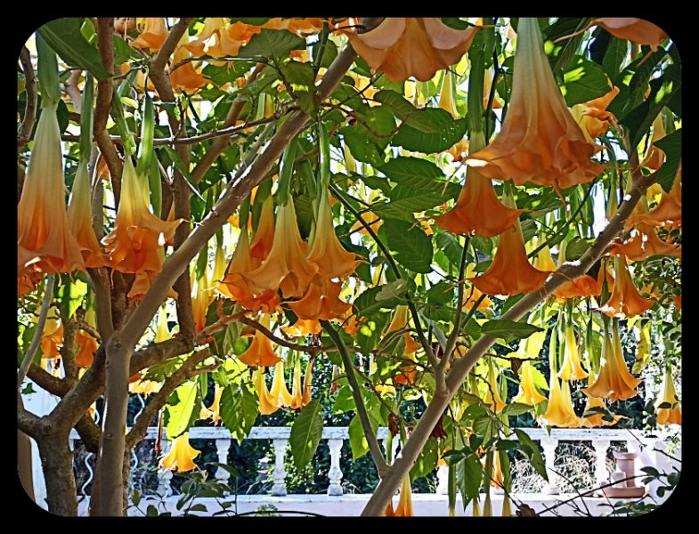 Brug close 18 Oct 21.jpg