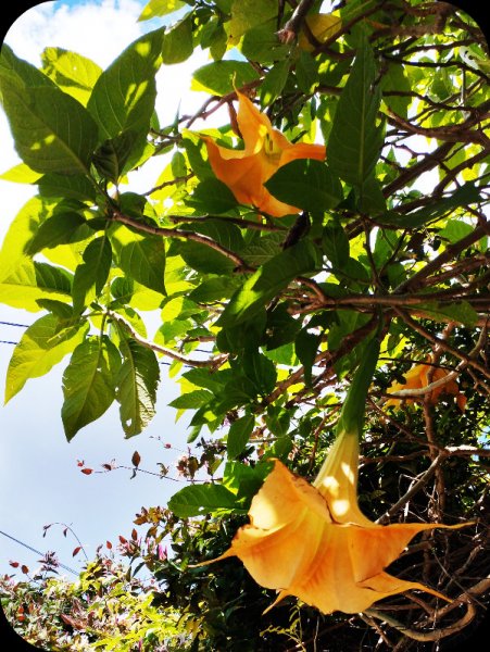 Brug from Uder2 10 May 25.jpg