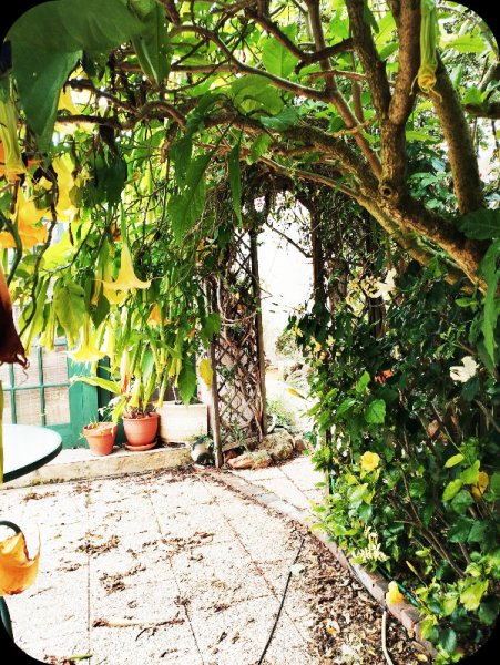 Brug Tunnel, 25 Feb 24.jpg