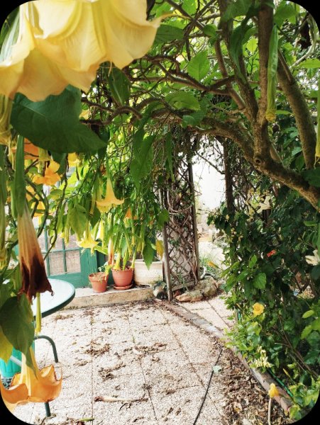 Brug Tunnel2 25 Feb 24(1).jpg