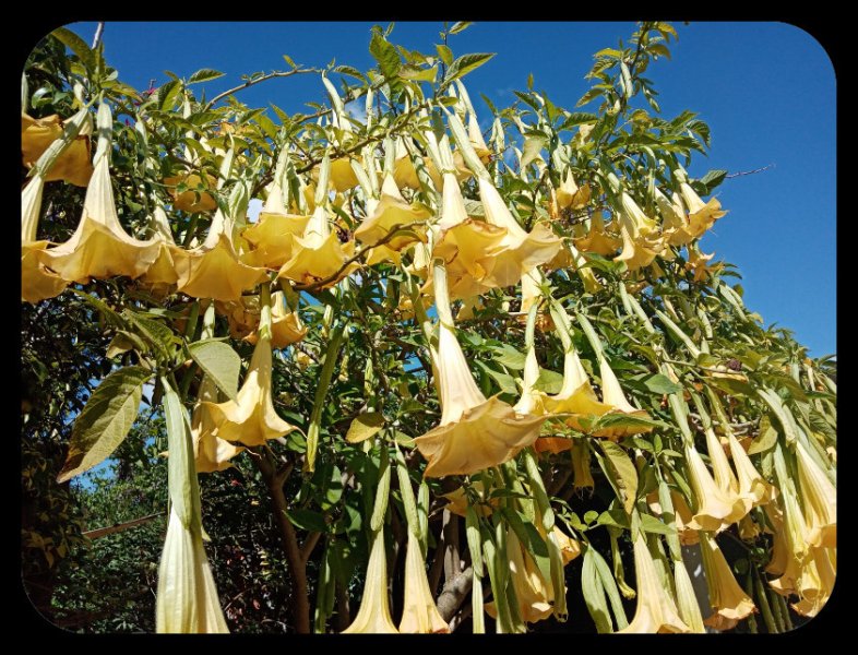 Brug1 20 AApr 22(1).jpg