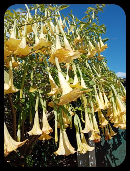 Brug3 20 Apr 22(1).jpg