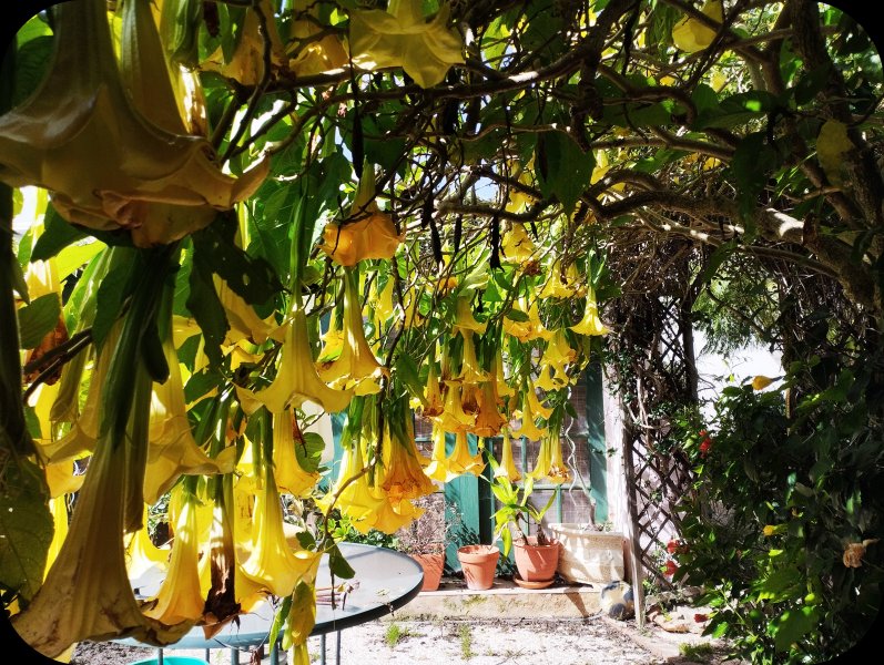 Brugs1 15 Mar 25.jpg