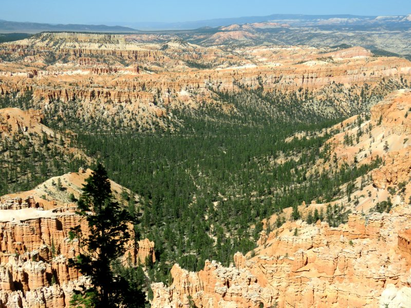 Bryce Canyon (2100.JPG