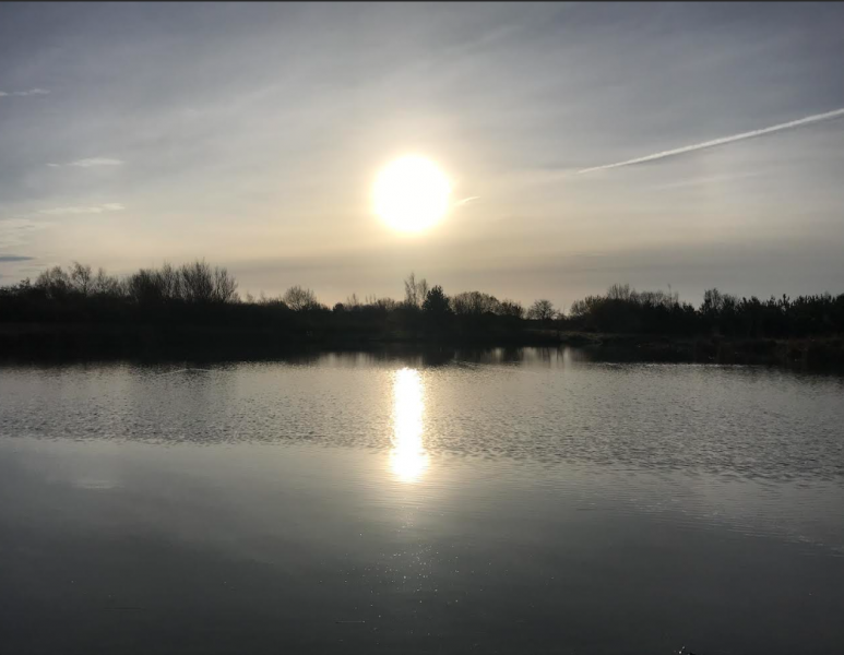 burradonpond7thDe .png