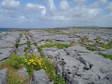 burren.jpg