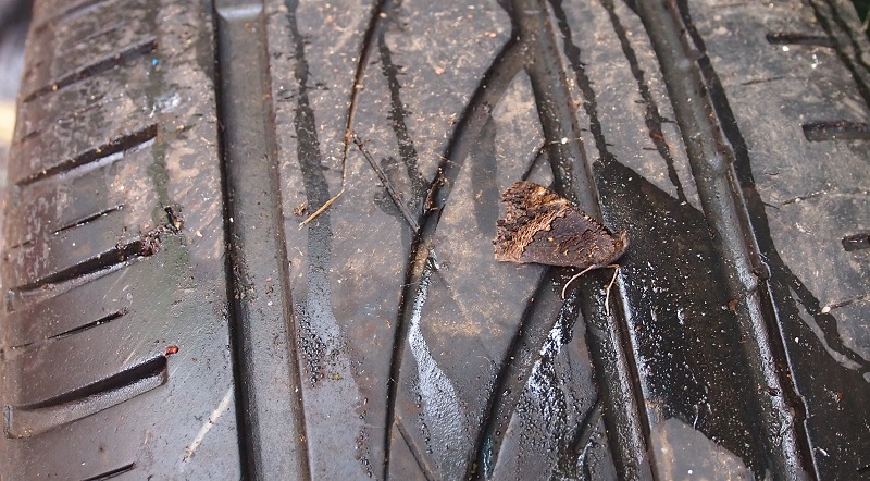 butterfly wheel2.jpg