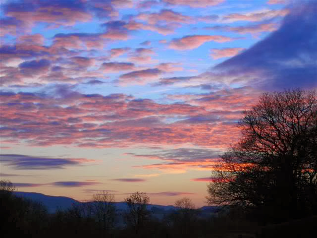 BWTHYN BEILI LLWYD=SKY_Pink_.jpg